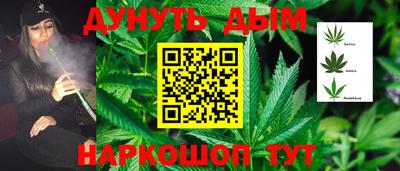 эйфоретик Славгород