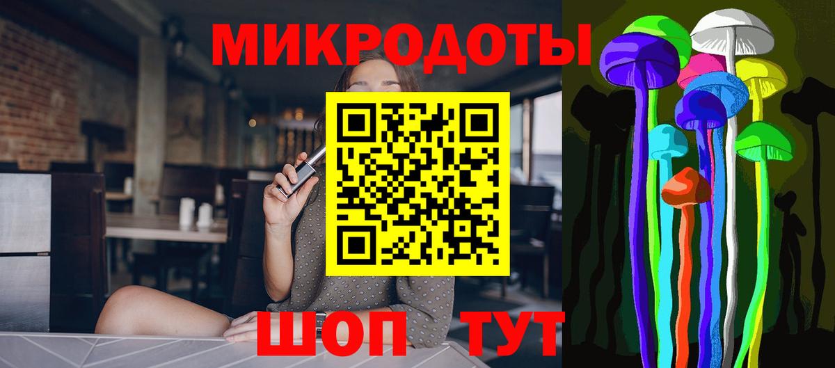Псилоцибиновые грибы Psilocybine cubensis Петропавловск-Камчатский