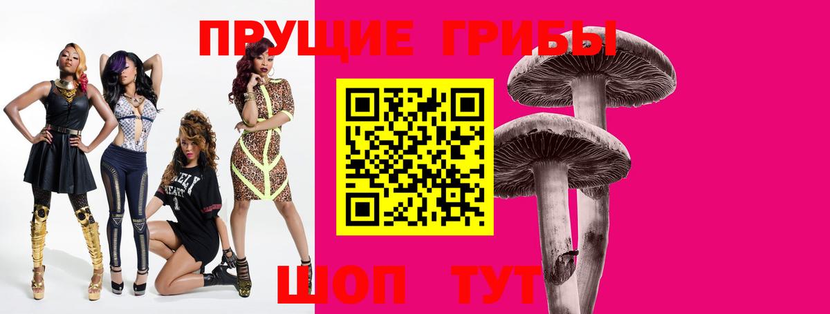Псилоцибиновые грибы мицелий  Вход с VPN  Петропавловск-Камчатский 